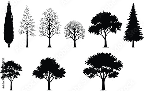 Tree silhouettes set, oak, pine, maple, cypress, leafless trees, seasonal collection, forest clipart, nature vector, botanical design, woodland graphics, landscape illustration