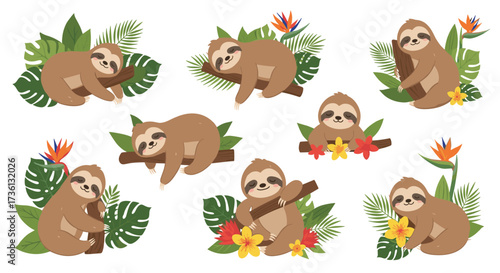 Cute sloth illustrations surrounded by tropical foliage and exotic flowers.