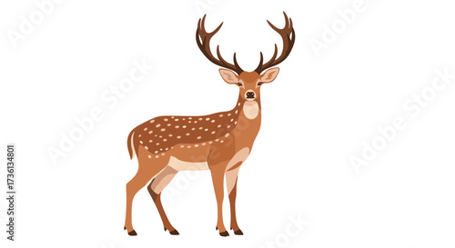 A majestic stag stands tall with large antlers and a spotted coat.