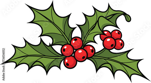 Festive holly branch with red berries for christmas decor