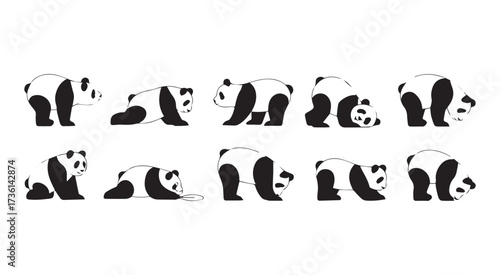 Panda Bear Poses and Actions Sequence (415