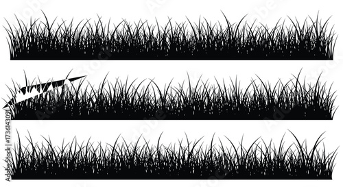 Silhouette Grass Border Designs with Variations in Texture and Detail nature green