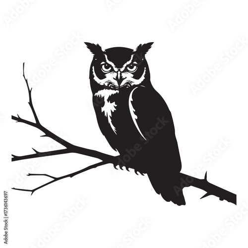 Silhouette of an owl perched on a branch on white background