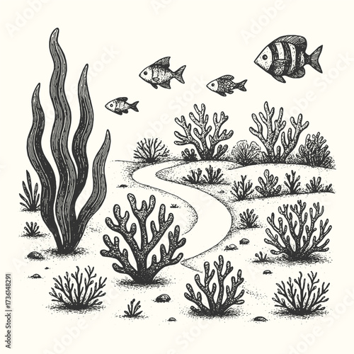 Vintage engraving of underwater coral reef with fish, marine life ocean illustration.