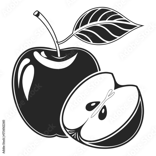 vector illustration of an apple