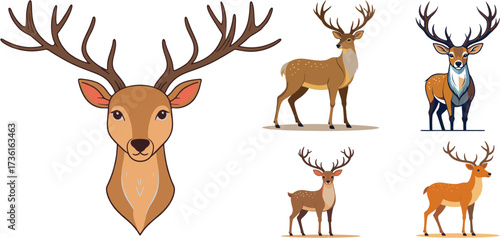 Elegant deer stag head and full body vector illustration set with antlers wildlife animal design for mascot logo outdoor adventure and forest nature decoration