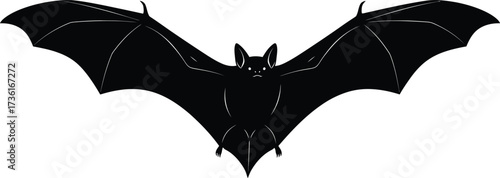 Silhouette of a bat with its wings spread on white background