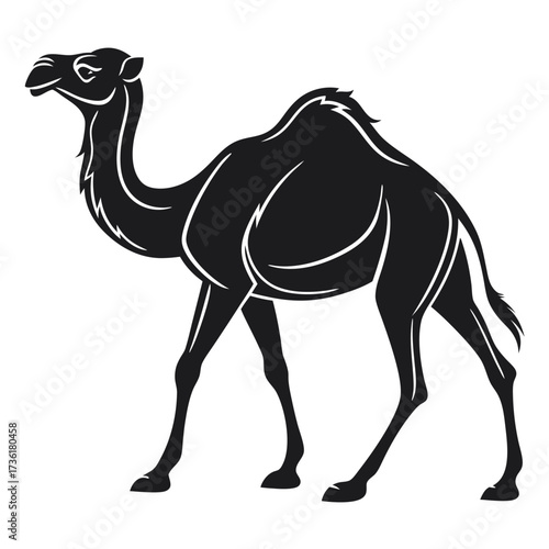 camel on white background