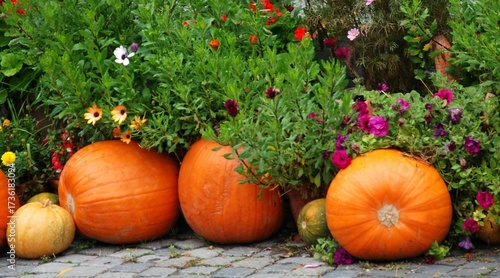 Bright orange pumpkins arranged with colorful garden flowers, creating a vibrant and rustic autumn scene.