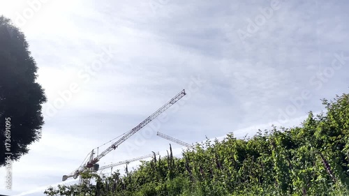Construction cranes in motion rise above a dense line of green foliage and wild vegetation, set
