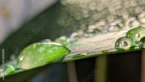 drops of water