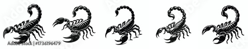 black and white silhouette vector of a scorpion