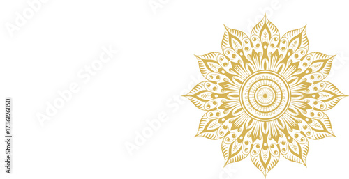 Round Mandala Design Vector