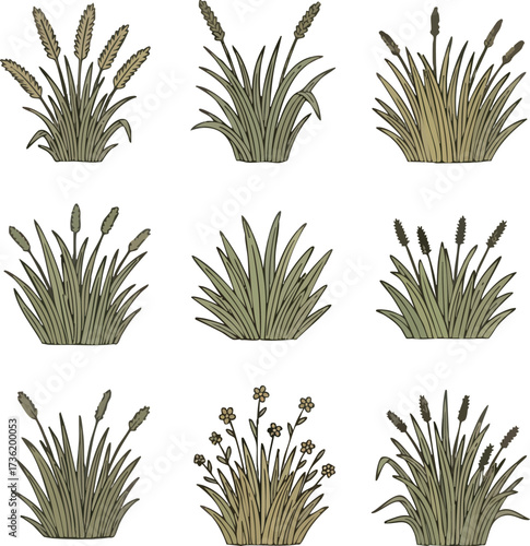 Nine illustrations of various grass and reed clumps, some with seed heads or flowers, arranged in a 3x3 grid.