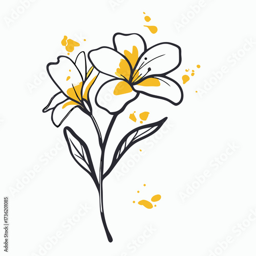 Two white lily flowers with yellow accents and dark outlines vector illustration