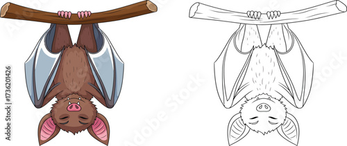 Cute Sleeping Bat Hanging Upside Down on Branch Coloring Page Illustration