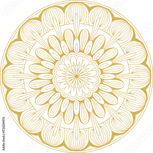 Round Mandala Design Vector