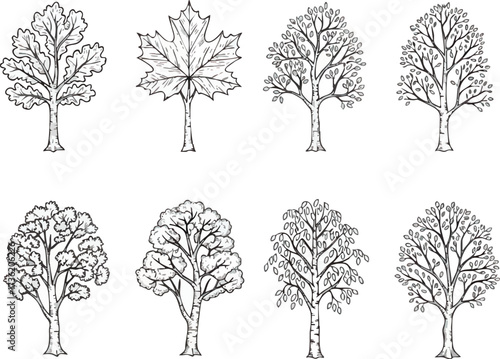 Line art illustration featuring eight different types of trees with detailed leaves and branches, displayed in a grid arrangement.