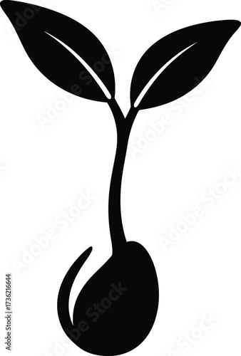 Black Silhouette of a Sprouting Seedling with Two Leaves plant growth