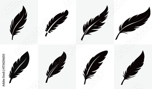 This collection showcases different black feather illustrations, each with unique shapes and styles. The artwork emphasizes the elegance and beauty of feathers.