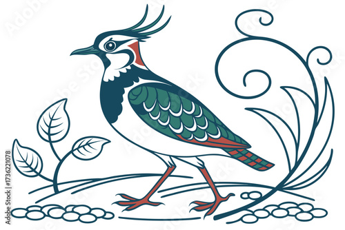northern lapwing bird