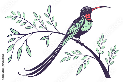 red billed streamertail bird on branch