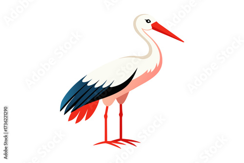 white stork isolated on white