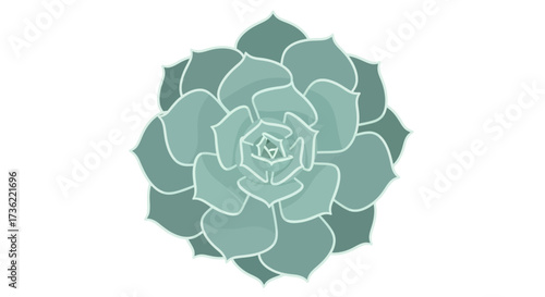 Flat Design Detailed Succulent Plant Rosette Top View Botany Illustration