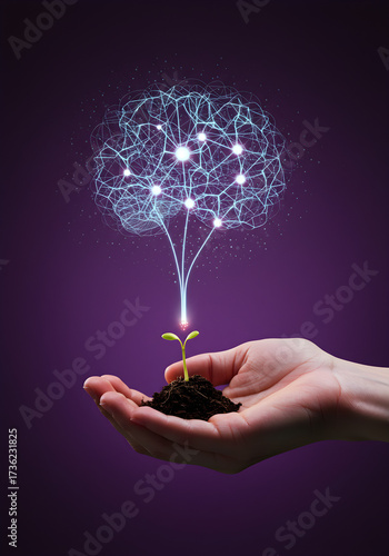 Growing Ideas from a Seed