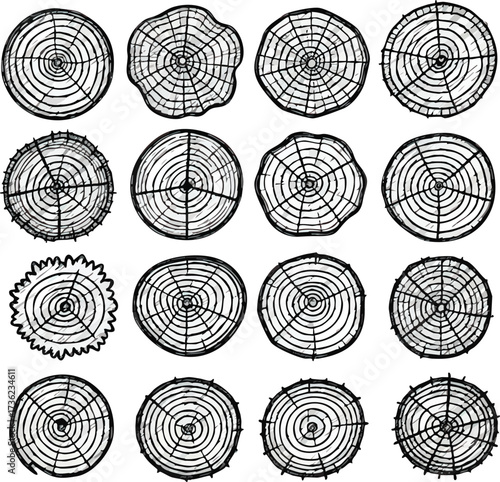 A collection of sixteen hand-drawn illustrations depicting cross-sections of tree trunks, showcasing growth rings.