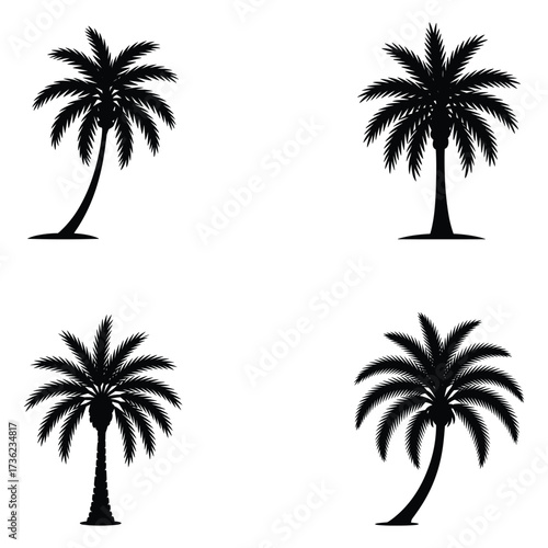 Four Silhouettes of Palm Trees with Different Trunk Shapes and Leaf Spreads Keywords: palm tree, palm trees, silhouette, tropical, nature, beach, island, vacation, summer, travel, exotic, flora