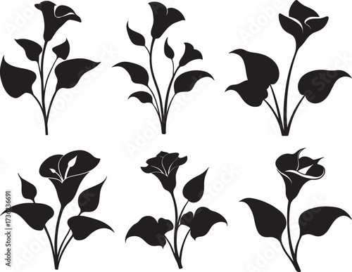 set of calla lily flower plant silhouette, vector and illustration, black and white