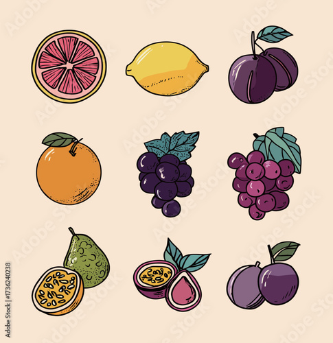 Brightly colored fruits are arranged in a grid. The collection features citrus, plums, grapes, and tropical passion fruits, showcasing their vibrant textures.