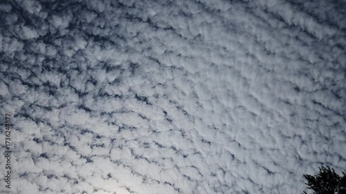 Looking through the car sunroof. Driving under cirrus clouds, trees. View of the cloudy sky through the open hatch of the car.