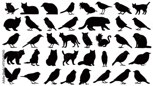 Wildlife and domestic animal silhouettes set, featuring diverse birds, cats, and small mammals, isolated on white background