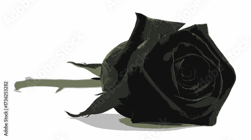 Elegant single black rose lying flat on a pure white background. Minimalist graphic illustration for themes of grief, beauty, or mystery.