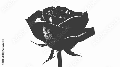 Elegant black rose illustration, stylized floral graphic on a clean white background, perfect for romantic or gothic design elements