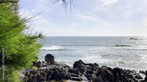 View of the ocean waves crashing against rocky cliffs under a bright sky. The scene reflects nature,