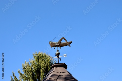 A old weather vane on the roof.