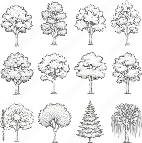 A collection of detailed black and white illustrations showcasing diverse tree species with varying foliage and branch structures, presented in a grid format.