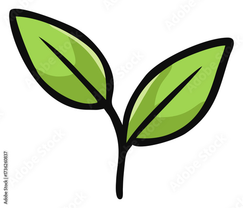Tea plant leaves. Editable color vector