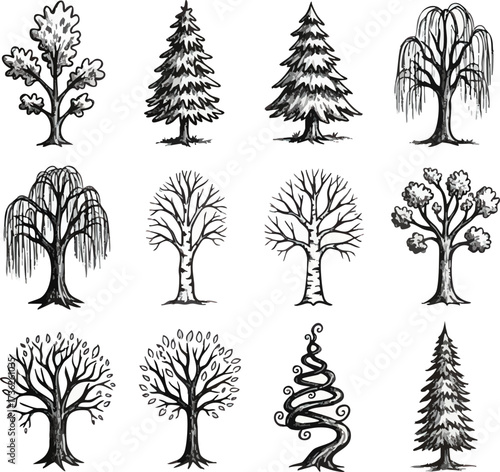 A collection of twelve hand-drawn illustrations depicting various types of trees in a sketched artistic style, showcasing diverse foliage and branch structures.