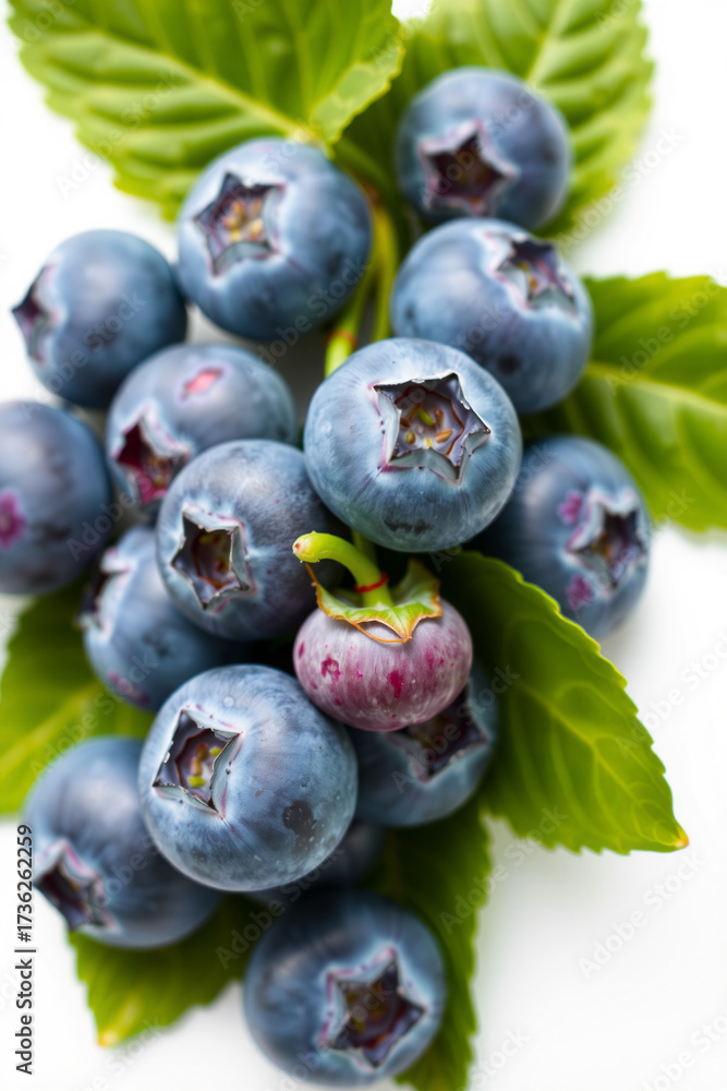 Fototapeta premium A Blueberry Cluster On A White Background