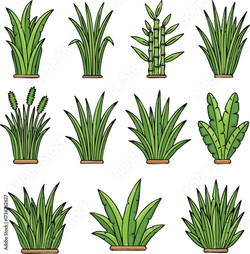 A collection of various illustrated green plant bushes, each in a brown pot.