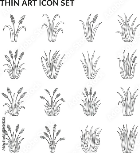 Collection of sixteen different thin line art illustrations of grass and wheat plants in various arrangements, isolated on a white background.