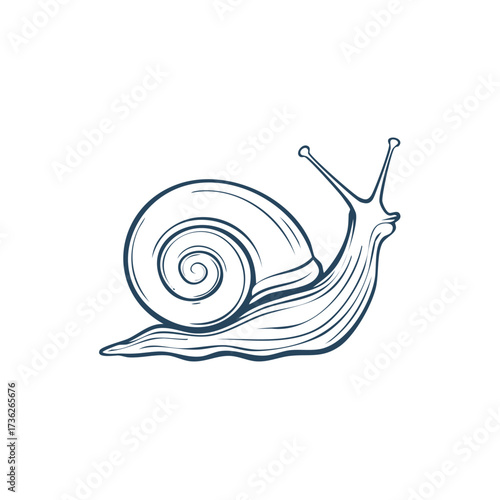 Snail illustration Crawling Snail Vector isolated Mollusk Artwork Graphic Design
