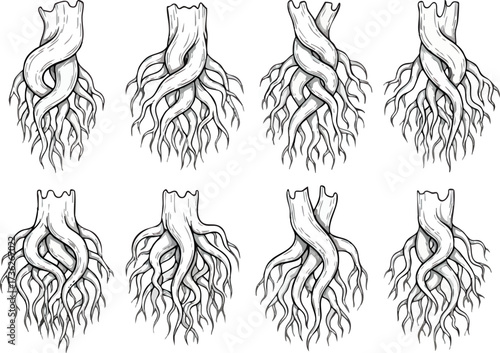 A collection of eight different stylized tree trunk and root illustrations, showcasing varying root structures and arrangements in a monochrome design.
