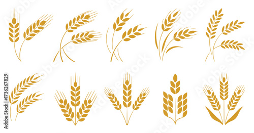 Collection of Golden Wheat Stalk Icons on White Background