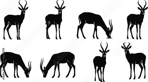 Antelope silhouette collection, grazing antelope, standing antelope, wildlife vector, animal posture, black silhouette, nature design, horned mammal illustration