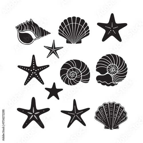 Set of different black sea shells and starfish silhouette vector.